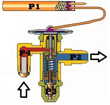 一种热力膨胀阀解剖图